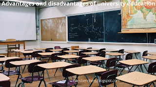 Advantages and disadvantages of university education