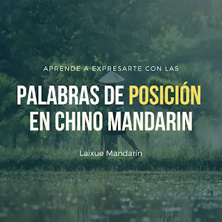 Lección #33: Palabras de posición en chino mandarín