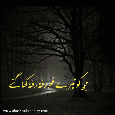 Unique Urdu Captions For Instagram 2022