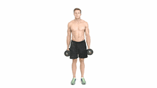 biceps banane ki hammer exercise, बाइसेप्स बनाने के उपाय