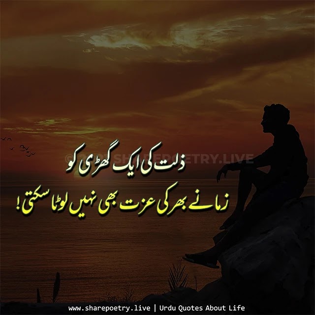 meaningful quotes about life in urdu