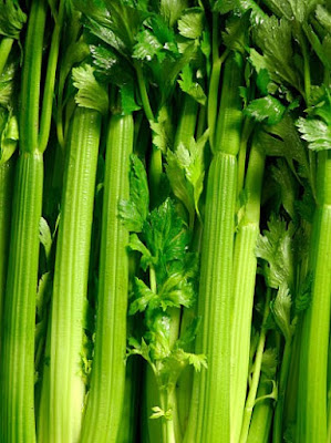 Celery vegetables are rich in potassium and highly saturated in water.