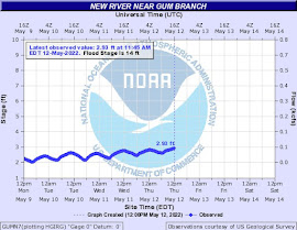 NWS New River Near Gum Branch Water Level