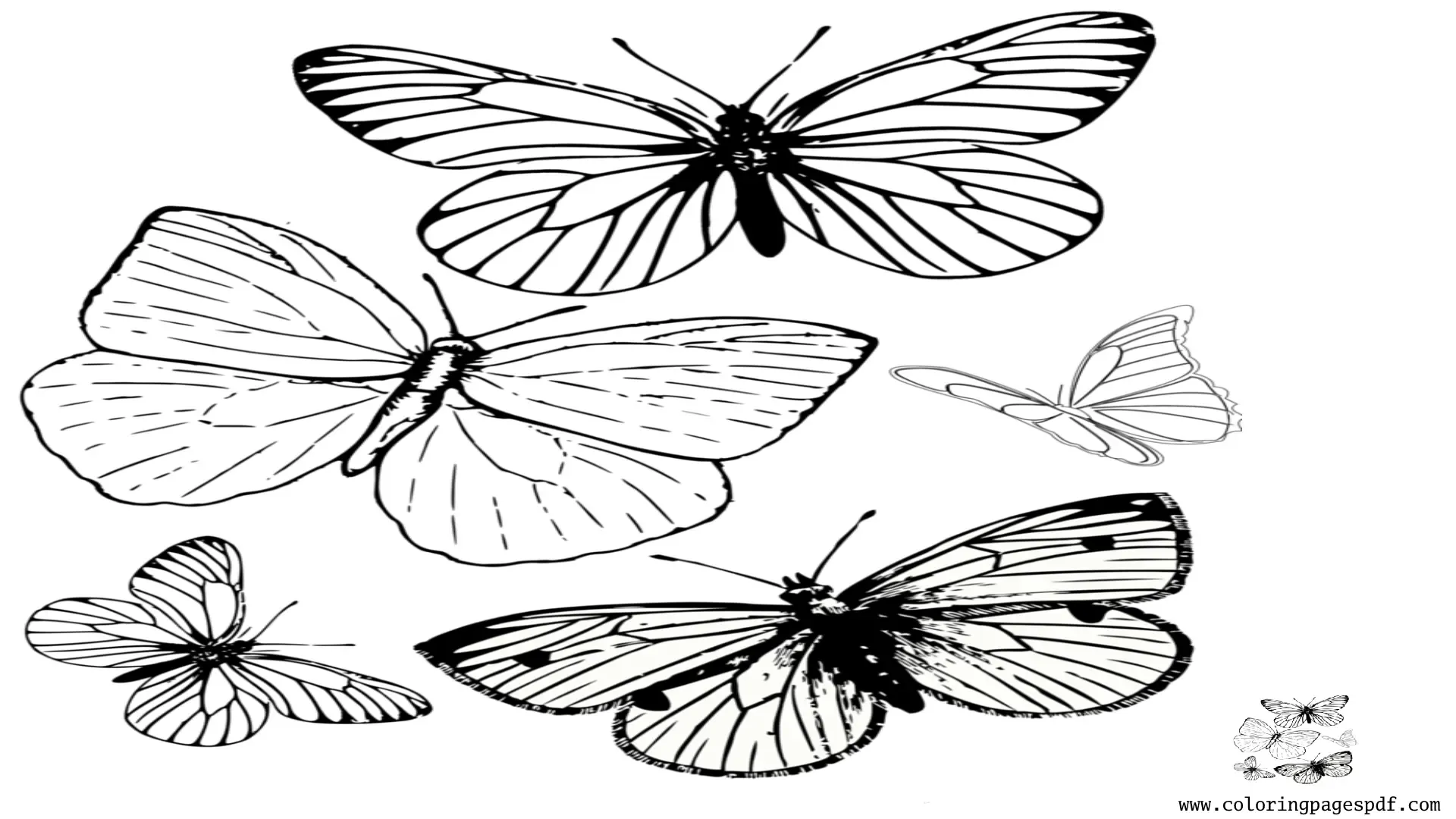 Coloring Page Of Various Shapes Butterflies