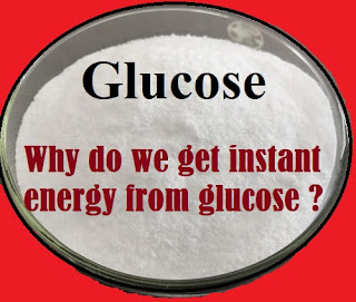 Why do we get instant energy from glucose ?