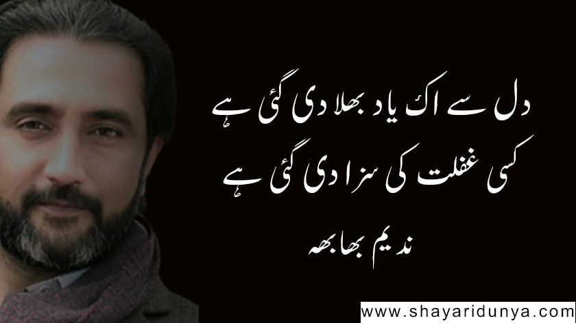 Top 10 Nadeem Bhabha Poetry | Nadeem Bhabha 2 line Poetry