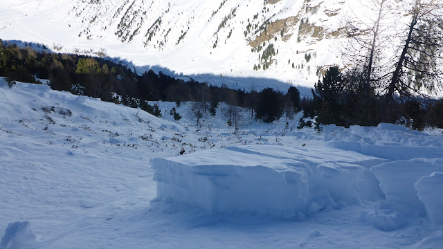 Zona di scorrimento della valanga fotografata dalla zona di distacco. Pendenza in questa zona: 41°. (Foto: Servizio prevenzione valanghe Alto Adige, 09.02.2022)
