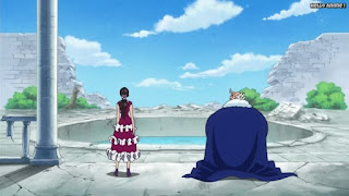 ワンピースアニメ ドレスローザ編 742話 | ONE PIECE Episode 742