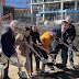 About Freaking Time: Groundbreaking for Fancy W&OD Trail Bridge Over
Wiehle, Capping 11-Year Process (We Hope)