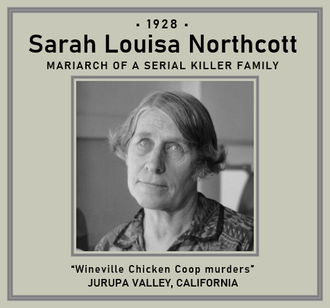 sarah louise northcott