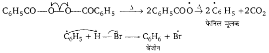 Solutions Class 11 रसायन विज्ञान Chapter-13 (हाइड्रोकार्बन)