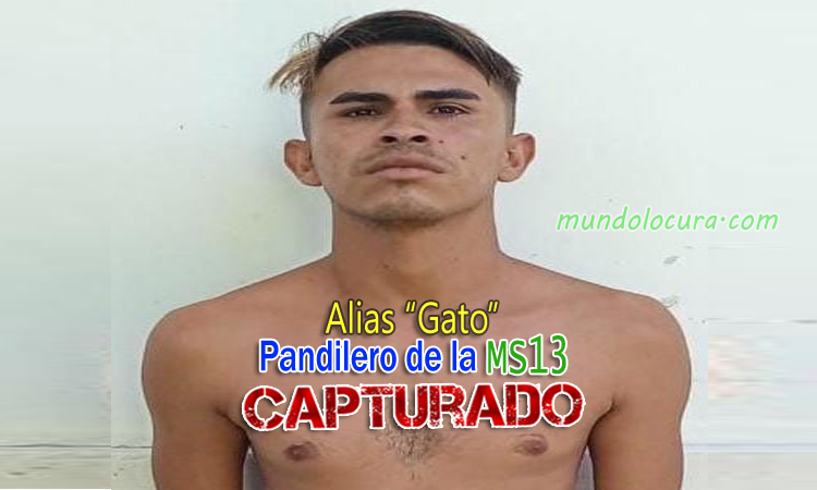 Capturan a alias "Gato" un peligroso pandillero de la MS13 que delinquía en Usulután