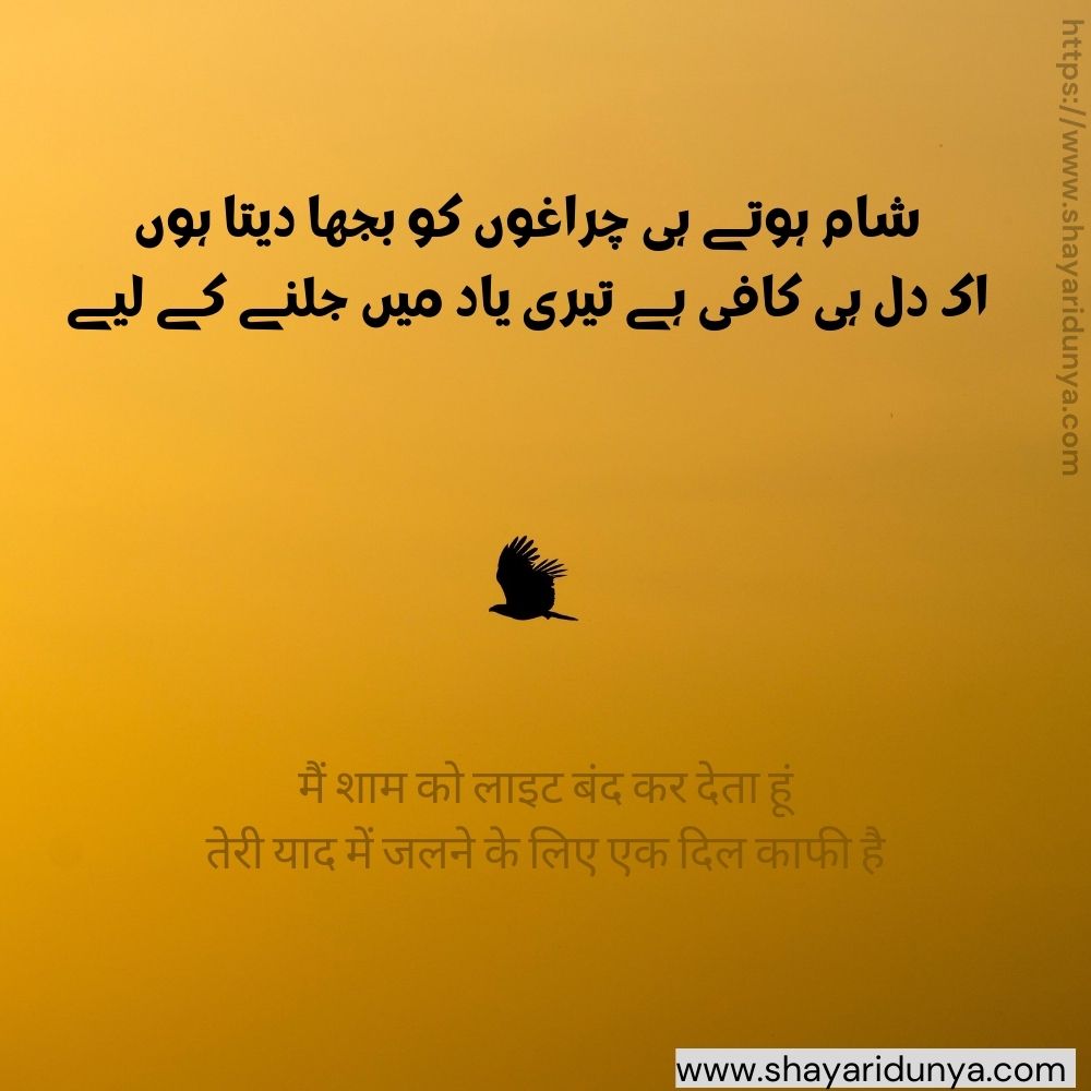 Poetry on Sham | sham poetry | Shaam Shayari | Udas sham | Poetry on evening