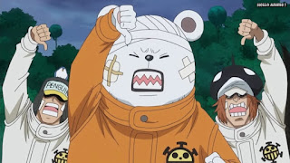 ワンピースアニメ ゾウ編 766話 ハートの海賊団 ベポ BEPO 可愛い | ONE PIECE Episode 766