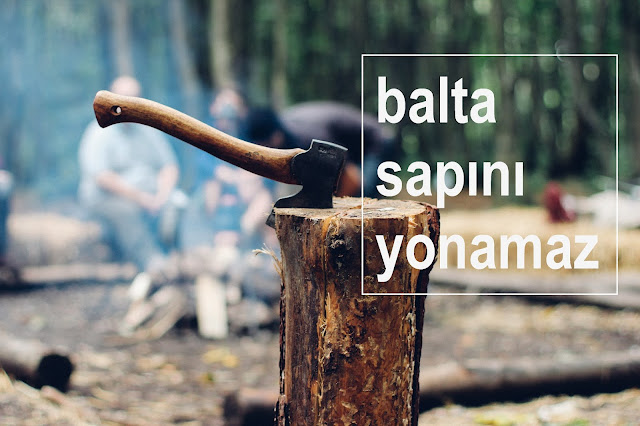 balta sapını yonamaz