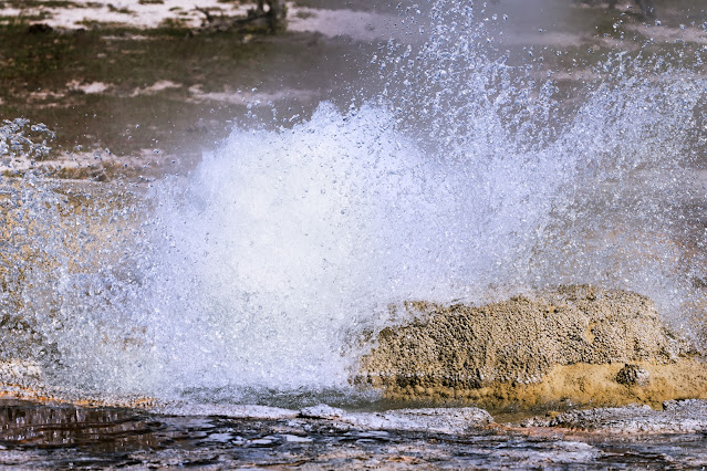 Shell Geyser Biscuit Basin Yellowstone National Park