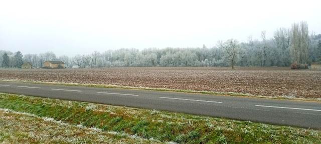 Freezing fog on the outskirts of Abilly, Indre et Loire, France. Photo by Loire Valley Time Travel.