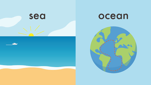 sea と ocean の違い