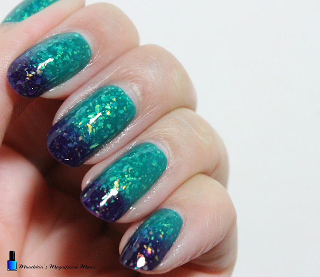 Holo Taco Simply Chaotic