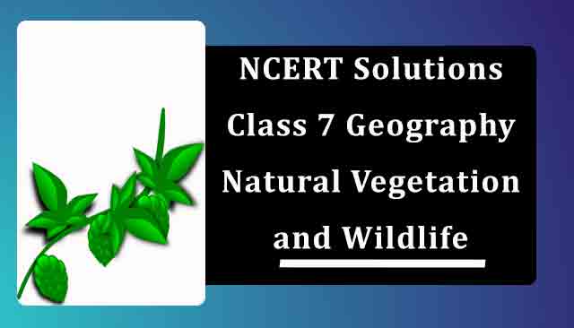 NCERT Solutions for Class 7 Geography Chapter 6 Natural Vegetation and Wildlife