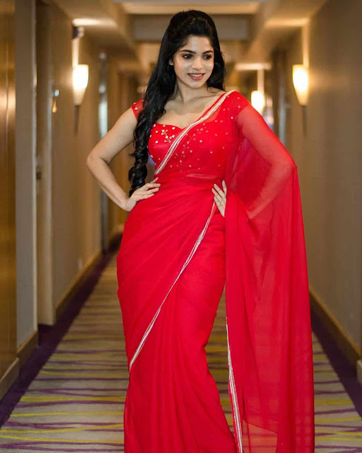 Red Hot Saree Stills of Bachelor fame Divya Bharathi