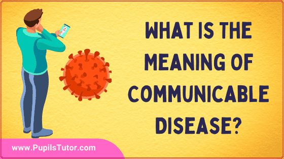 What Does Communicable Disease Mean? - Introduction, Concept And Meaning | Discuss Briefly Some Importance Communicable Diseases And Infectious Agents - www.pupilstutor.com