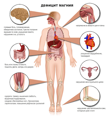 Чем опасен дефицит магния и как он выражается?