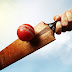 What is a Wicket in Cricket || Meaning, Dimensions & Term Usage