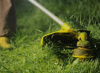 lawn and garden maintenance services