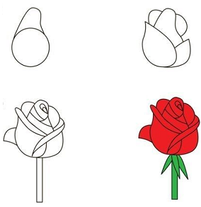 ¿Como Dibujar un Rosa semi cerrada? Explicación Paso a Paso