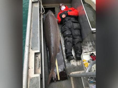 monstro do rio’ com mais de 109 kg que foi pescado nos EUA e pode ter mais de 100 anos 