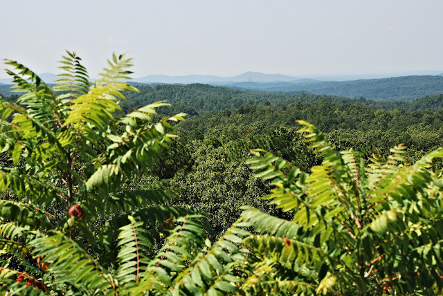 Talladega National Forest - Cheaha State Park