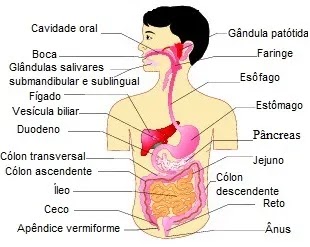 Imagem