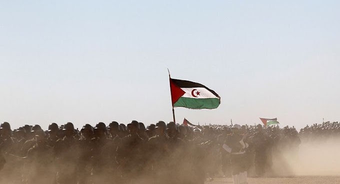 El enfrentamiento no es opción para un régimen que vincula la ocupación del Sáhara Occidental a su existencia.