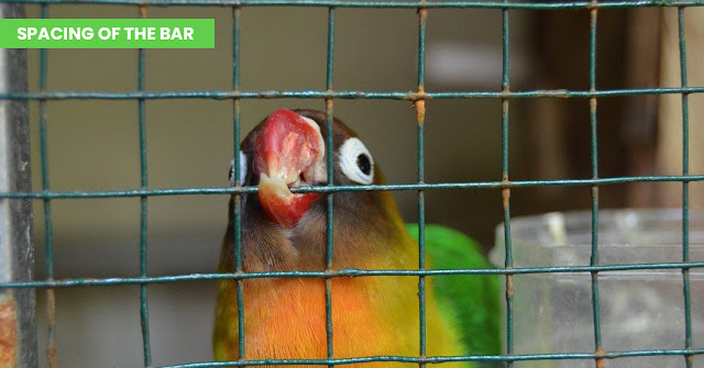 bird cages australia
