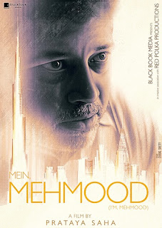 Mein Mehmood (2022) Download 1080p WEBRip