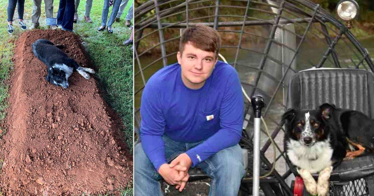 Grieving Dog Refuses To Leave His Owner's Grave Who Was Murdered Aged Just 22