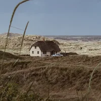 House on a grass field