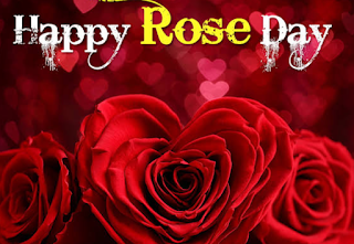Happy Rose Day 2022 Image - हैप्पी रोज डे इमेज फोटो