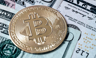 What are the possible expectations about the future of the Bitcoin exchange rate?