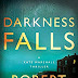 Review: Darkness Falls (Kate Marshall #3) by Robert Bryndza