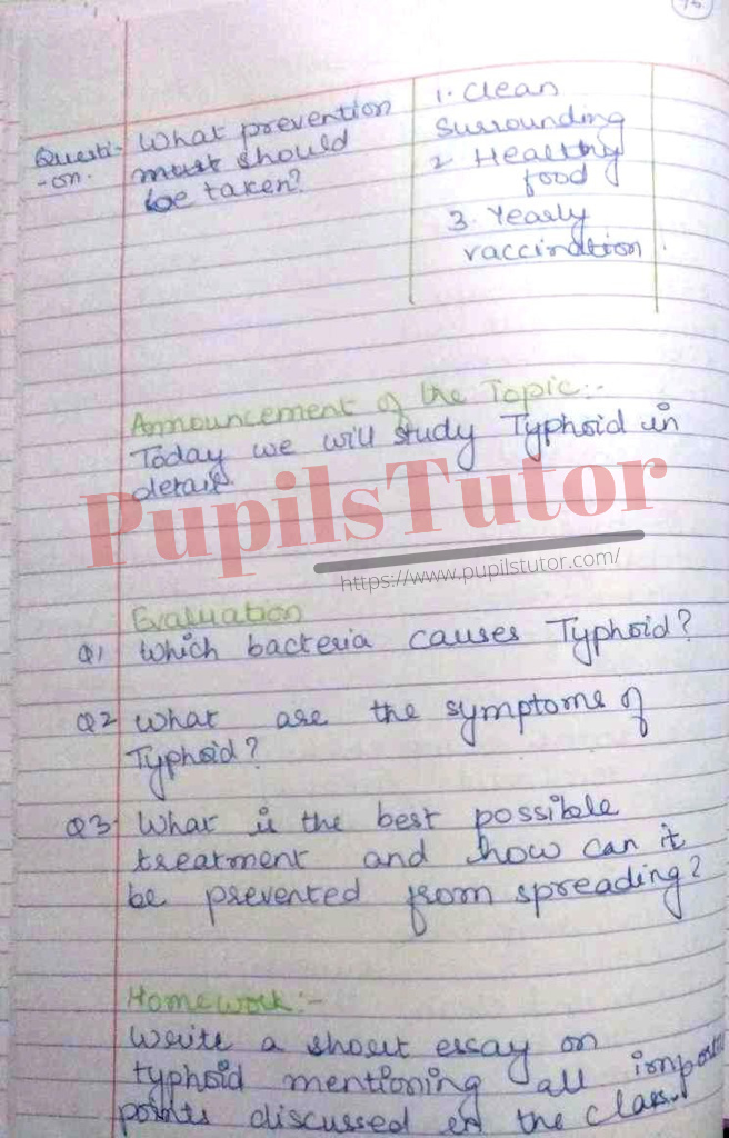 B.Ed Physical Education Lesson Plan For Class 8 To 12 PDF On Typhoid And Communicable Diseases  – [Page 6] – pupilstutor.com