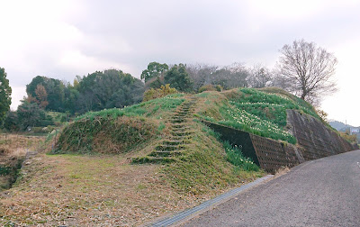 スイセンの丘(千早赤阪村)２０２１～２０２２年