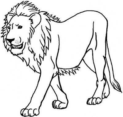 Desenhos de leão para pintar