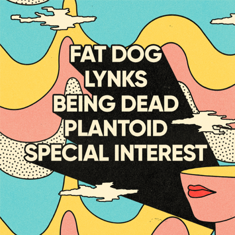 Fat Dog, Lynks, Being Dead, Plantoid, Special Interest for Wide Awake Festival 2024