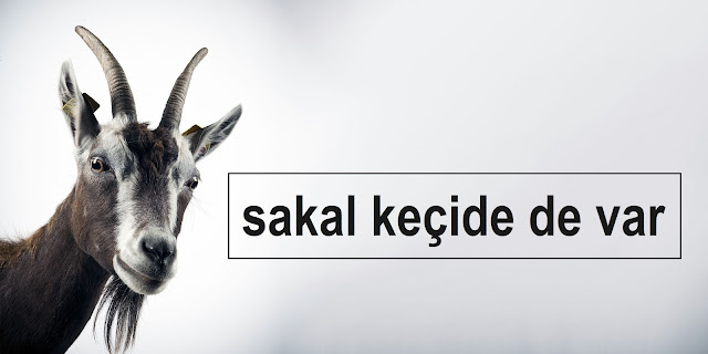 sakal keçide de var