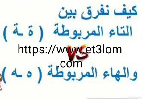 الفرق بين التاء المربوطة والهاء المربوطة