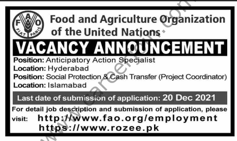 Jobs in Food & Agriculture Organization FAO