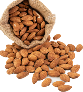 Almonds Transparent Image