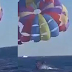VIDEO: Un tiburón muerde a un paracaidista, Le arranca parte del pie